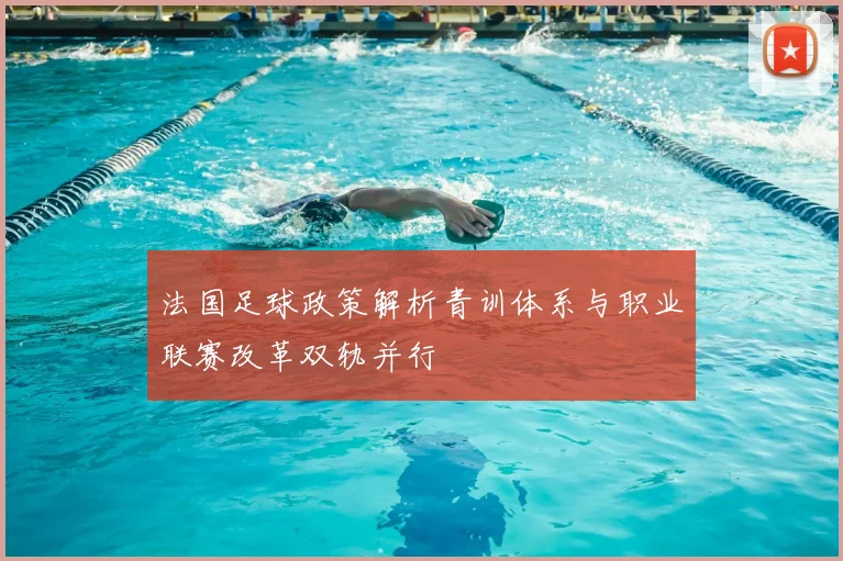 法国足球政策解析青训体系与职业联赛改革双轨并行