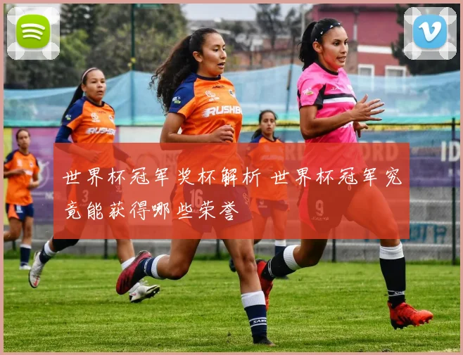 世界杯冠军奖杯解析 世界杯冠军究竟能获得哪些荣誉