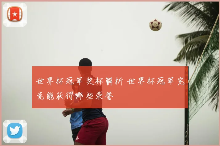 世界杯冠军奖杯解析 世界杯冠军究竟能获得哪些荣誉