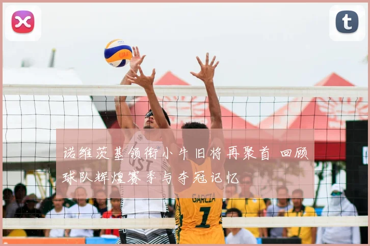 诺维茨基领衔小牛旧将再聚首 回顾球队辉煌赛季与夺冠记忆