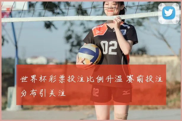 世界杯彩票投注比例升温 赛前投注分布引关注