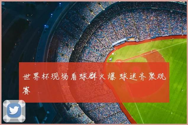 世界杯现场看球群火爆 球迷齐聚观赛
