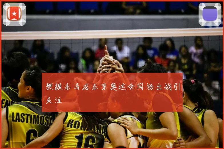 樊振东马龙东京奥运会同场出战引关注