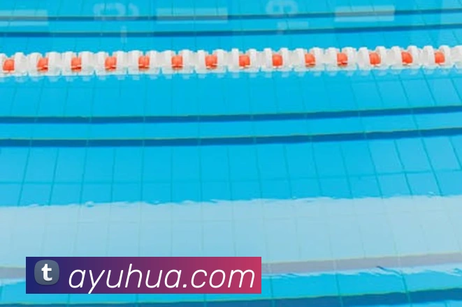 开云在线登录入口app服务体系